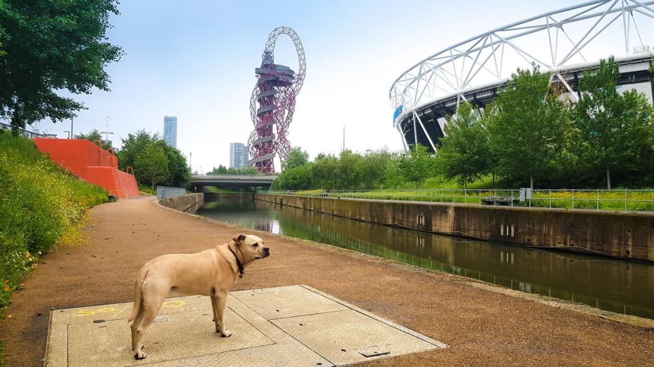 Beautiful Central Home For 6 Near Olympic Park And Abba Theatre Londres Exterior foto
